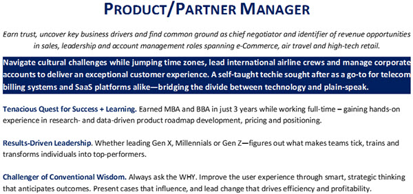 Resume Headline & Branding Paragraph - 2nd example