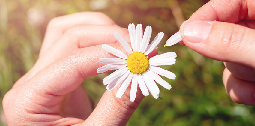 How to Choose Between Job Offers