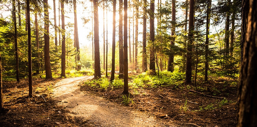 Which Career is Right for Me? Here's How to Figure It Out